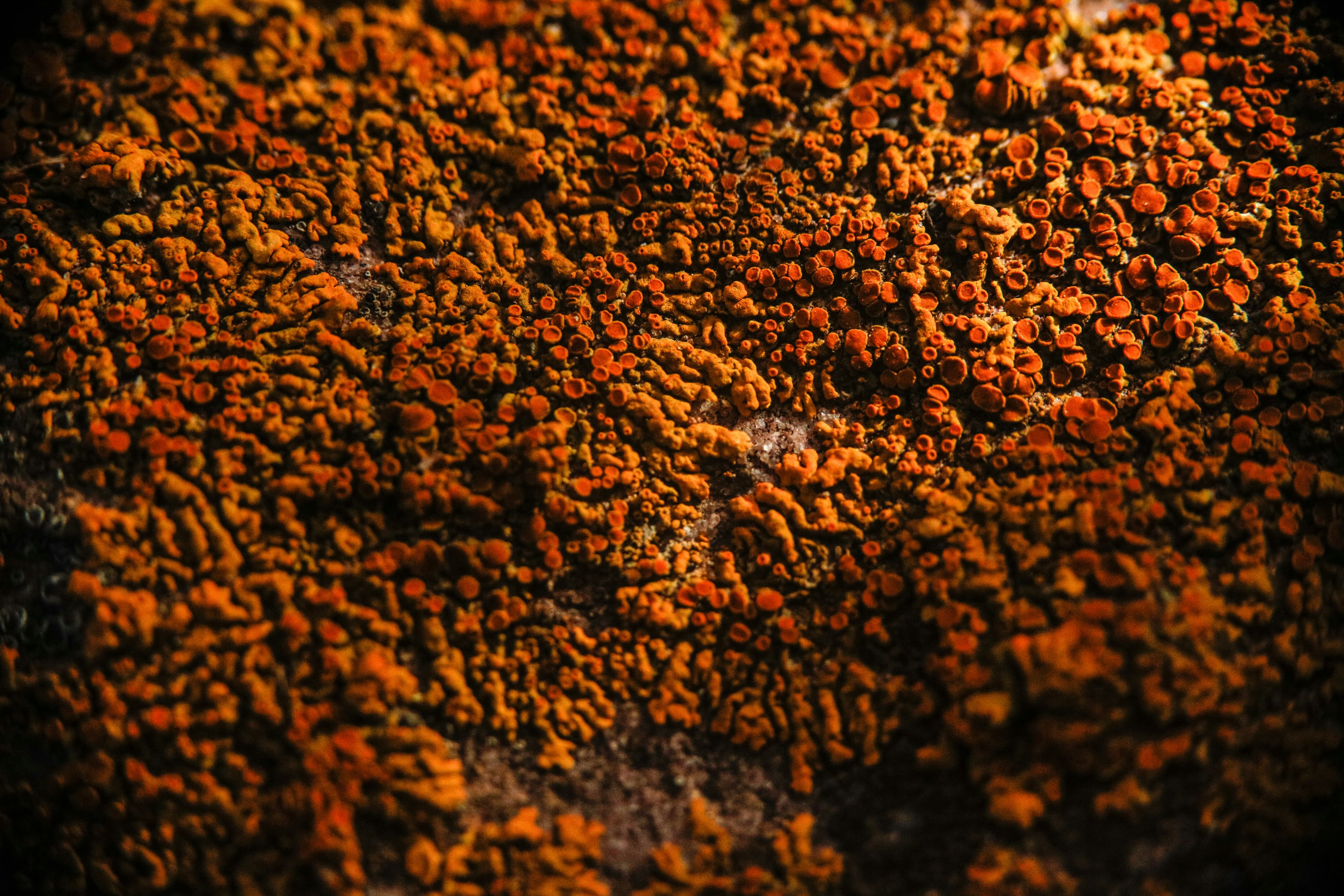 Newsletter background
